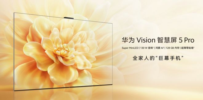 AVisionǻ5 Pro_փr 4799 